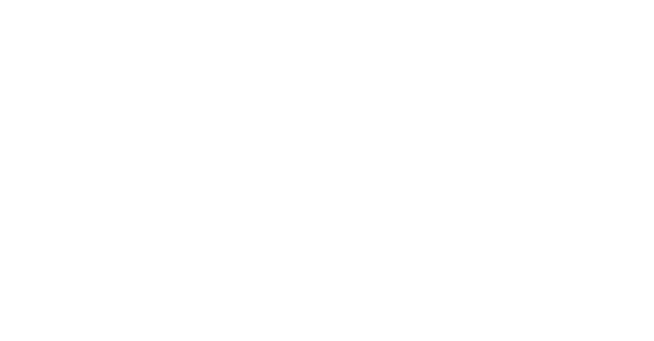 FlyTecno