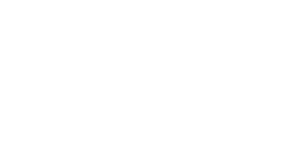 WyVolt